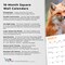 Canadian Geographic Foxes OFFICIAL | 2026 12 x 24 Inch (Hanging) Monthly Square Wall Calendar